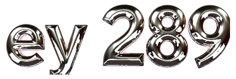 ey 289 logo